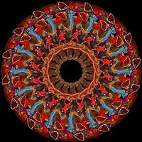blocks_image