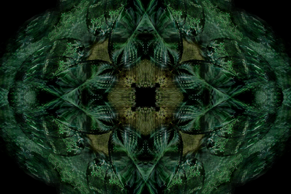 organicato