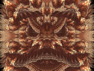 MirrorFace1